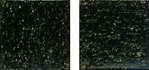 A38(2)