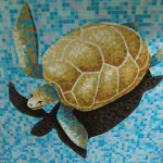 Черепаха с Тенью -Для бассейна -Фон Матрица.
